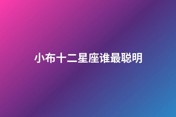 小布十二星座谁最聪明-第1张-星座运势-玄机派