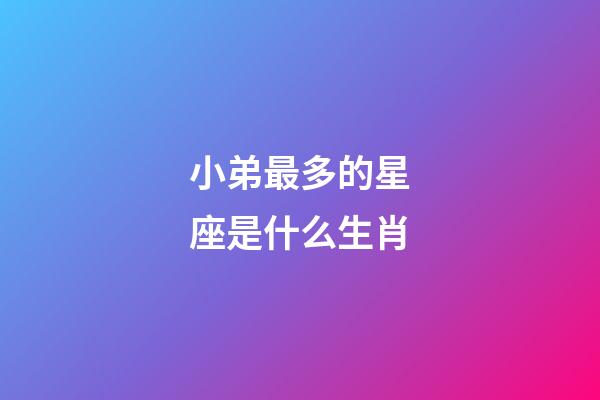 小弟最多的星座是什么生肖-第1张-星座运势-玄机派