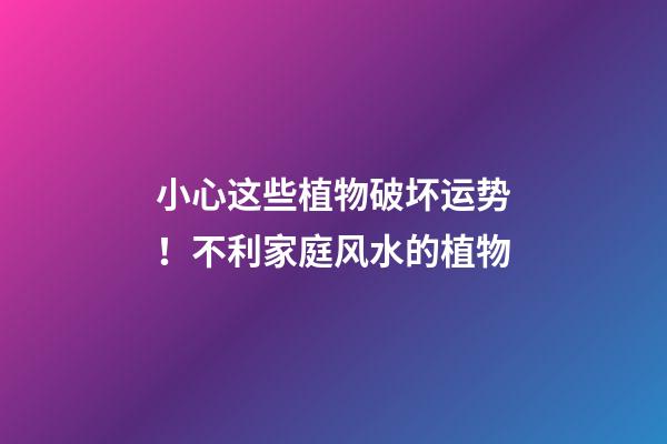 小心这些植物破坏运势！不利家庭风水的植物
