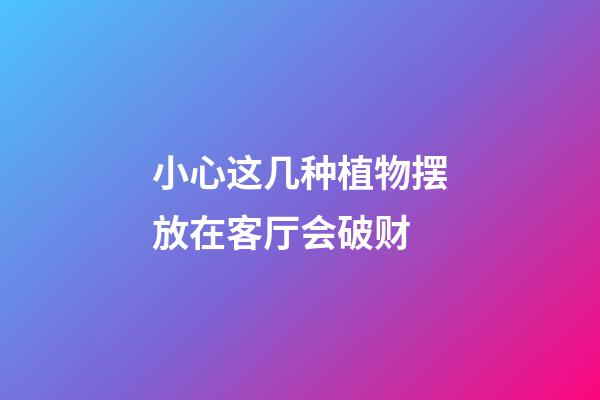 小心这几种植物摆放在客厅会破财