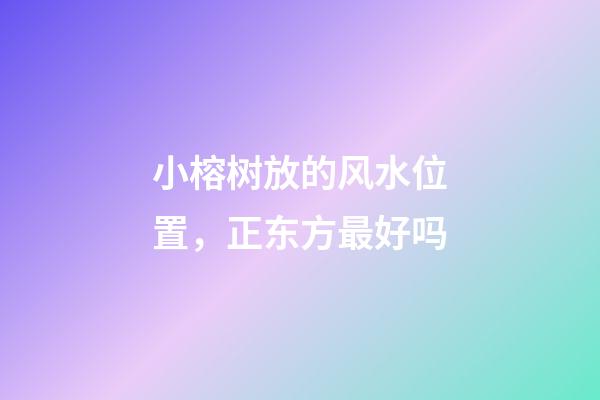 小榕树放的风水位置，正东方最好吗