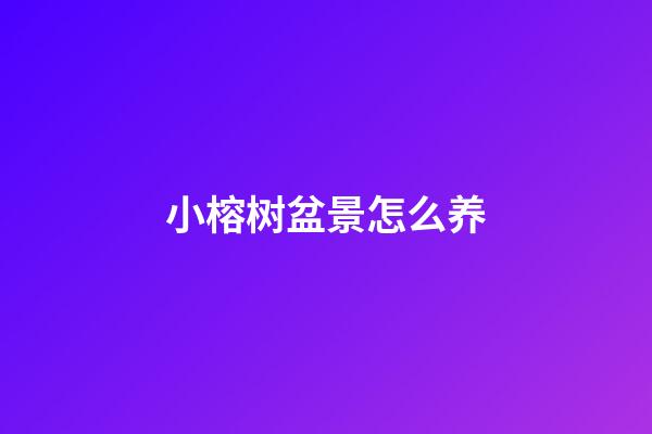 小榕树盆景怎么养