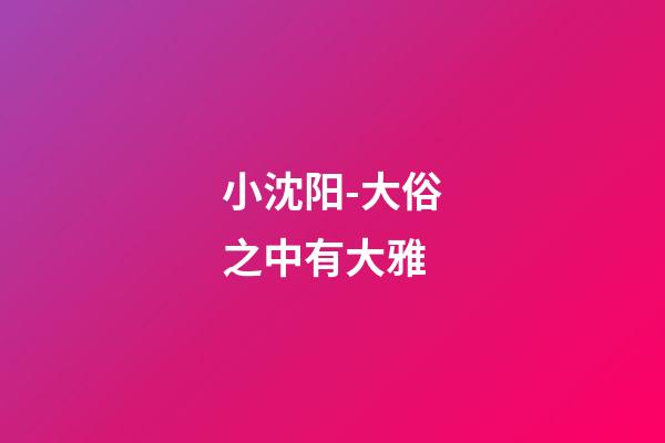 小沈阳-大俗之中有大雅