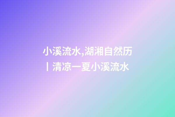 小溪流水,湖湘自然历丨清凉一夏小溪流水-第1张-观点-玄机派