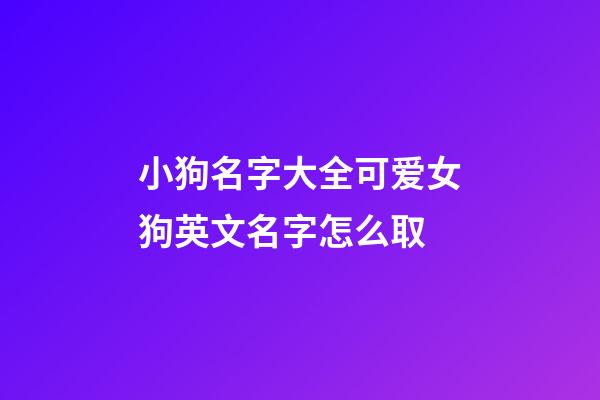 小狗名字大全可爱女狗英文名字怎么取
