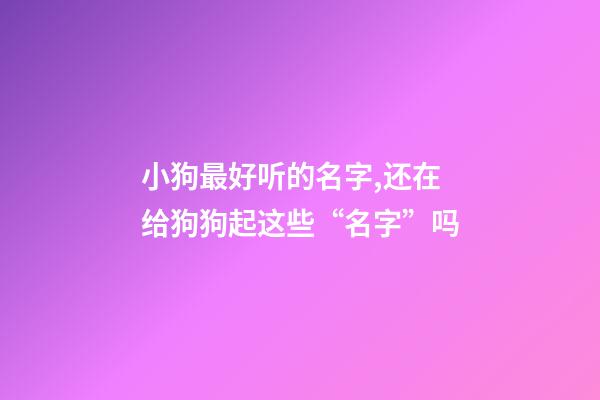 小狗最好听的名字,还在给狗狗起这些“名字”吗-第1张-观点-玄机派