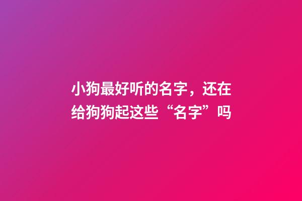 小狗最好听的名字，还在给狗狗起这些“名字”吗-第1张-观点-玄机派