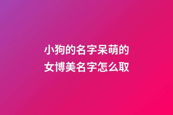 小狗的名字呆萌的女博美名字怎么取