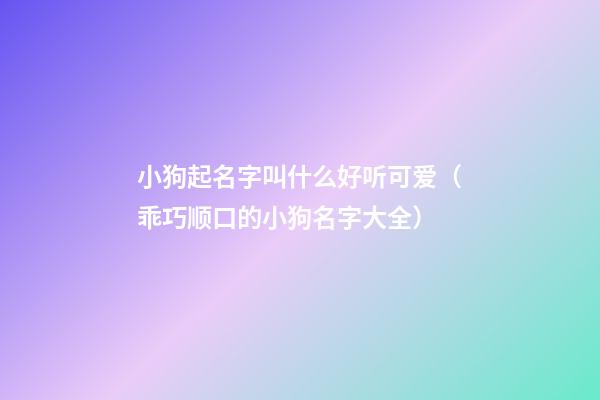 小狗起名字叫什么好听可爱（乖巧顺口的小狗名字大全）