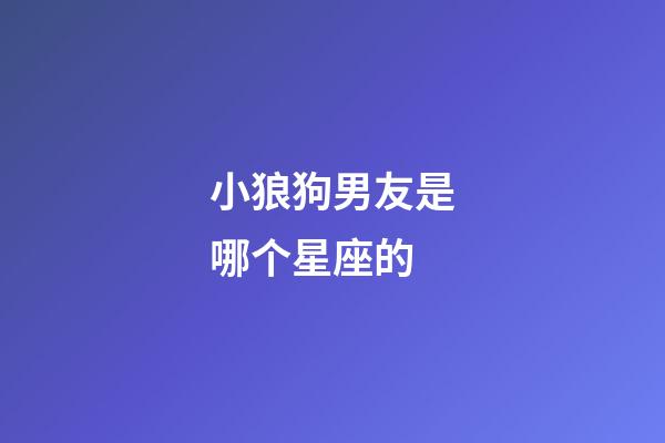小狼狗男友是哪个星座的-第1张-星座运势-玄机派