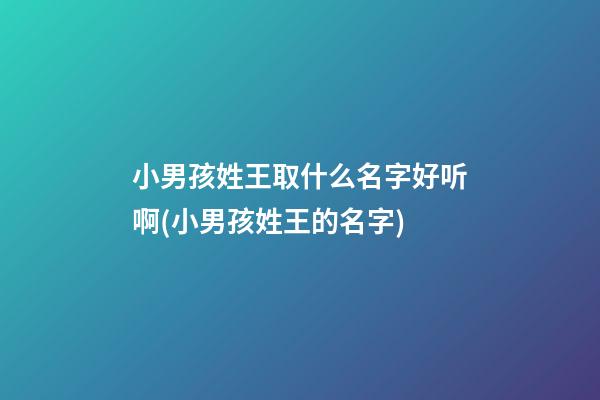 小男孩姓王取什么名字好听啊(小男孩姓王的名字)