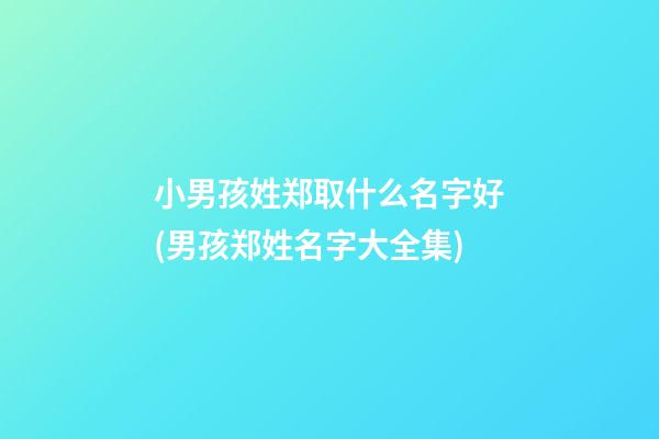 小男孩姓郑取什么名字好(男孩郑姓名字大全集)