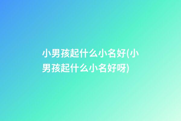 小男孩起什么小名好(小男孩起什么小名好呀)