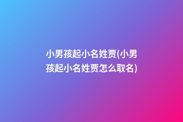 小男孩起小名姓贾(小男孩起小名姓贾怎么取名)