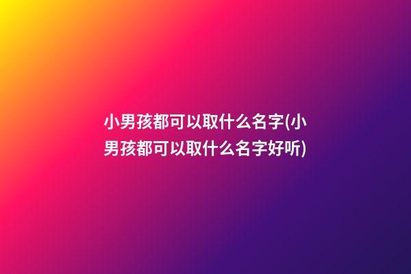小男孩都可以取什么名字(小男孩都可以取什么名字好听)