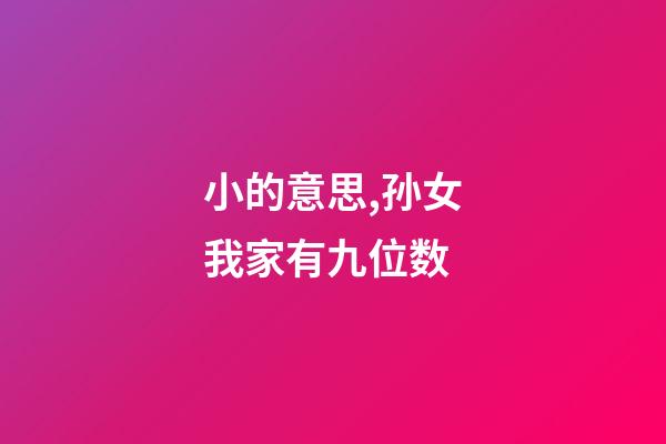 小的意思,孙女我家有九位数-第1张-观点-玄机派