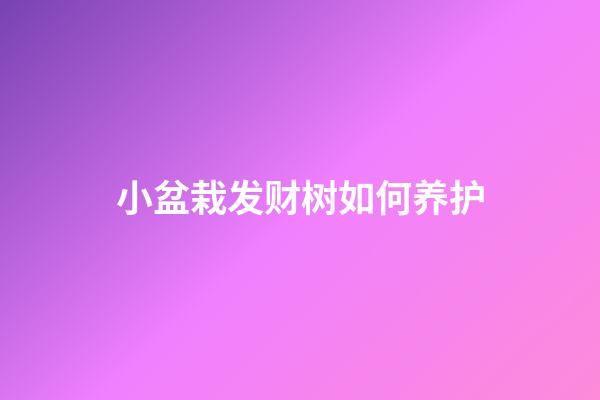 小盆栽发财树如何养护