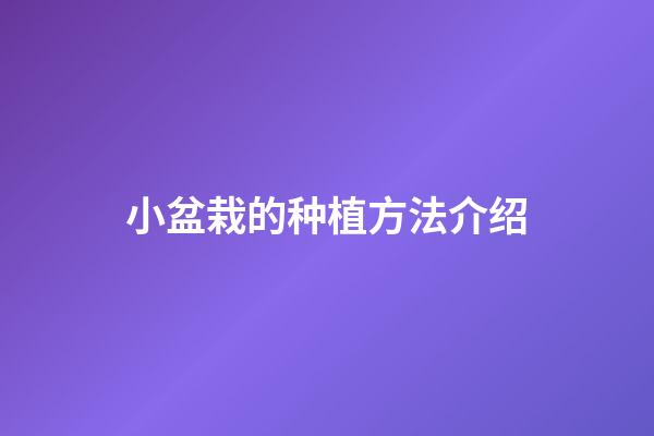 小盆栽的种植方法介绍