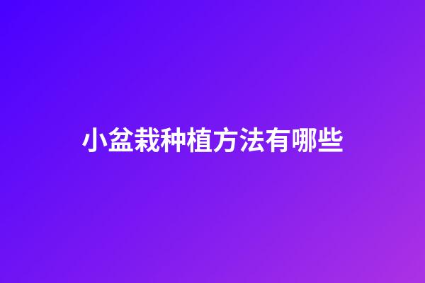 小盆栽种植方法有哪些