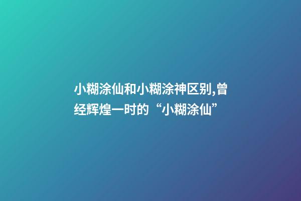 小糊涂仙和小糊涂神区别,曾经辉煌一时的“小糊涂仙”-第1张-观点-玄机派