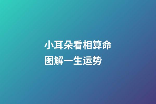 小耳朵看相算命图解一生运势