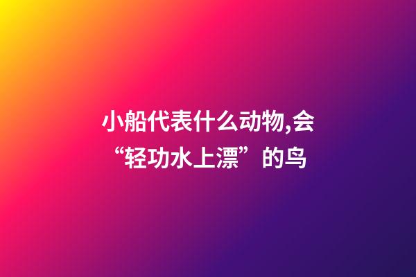 小船代表什么动物,会“轻功水上漂”的鸟-第1张-观点-玄机派