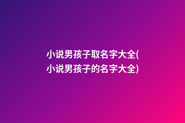 小说男孩子取名字大全(小说男孩子的名字大全)