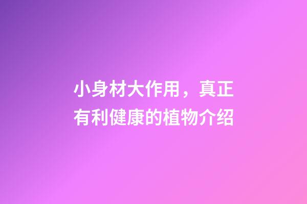 小身材大作用，真正有利健康的植物介绍