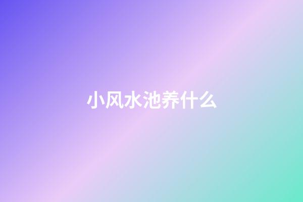 小风水池养什么