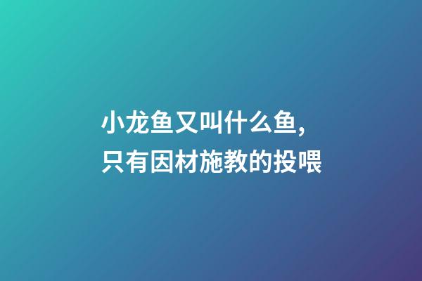 小龙鱼又叫什么鱼,只有因材施教的投喂-第1张-观点-玄机派