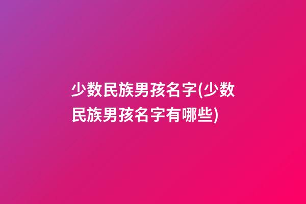 少数民族男孩名字(少数民族男孩名字有哪些)
