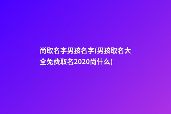 尚取名字男孩名字(男孩取名大全免费取名2020尚什么)