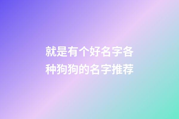 就是有个好名字各种狗狗的名字推荐