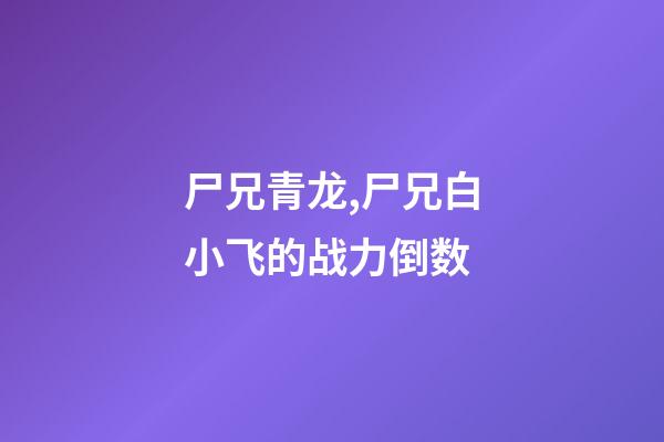尸兄青龙,尸兄白小飞的战力倒数-第1张-观点-玄机派