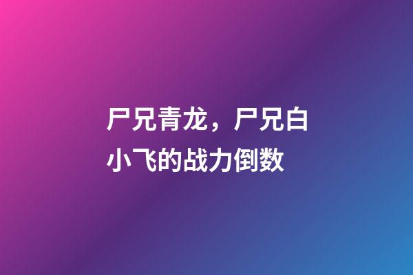尸兄青龙，尸兄白小飞的战力倒数-第1张-观点-玄机派