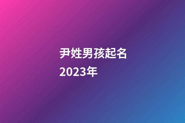尹姓男孩起名2023年
