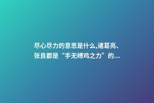 尽心尽力的意思是什么,诸葛亮、张良都是“手无缚鸡之力”的谋士-第1张-观点-玄机派