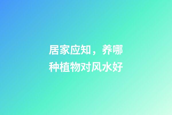 居家应知，养哪种植物对风水好