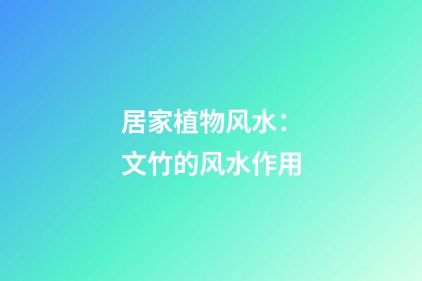 居家植物风水：文竹的风水作用