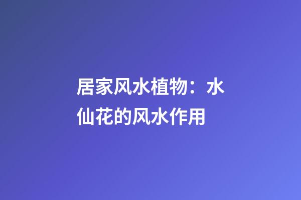 居家风水植物：水仙花的风水作用