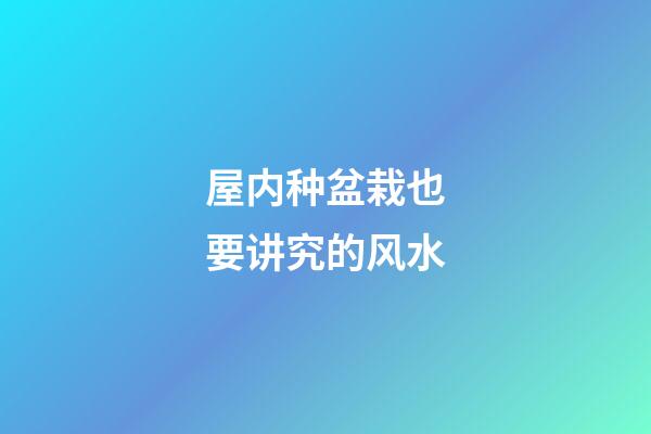 屋内种盆栽也要讲究的风水