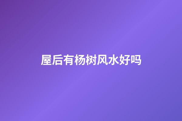 屋后有杨树风水好吗