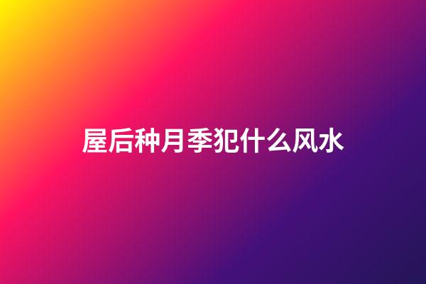 屋后种月季犯什么风水