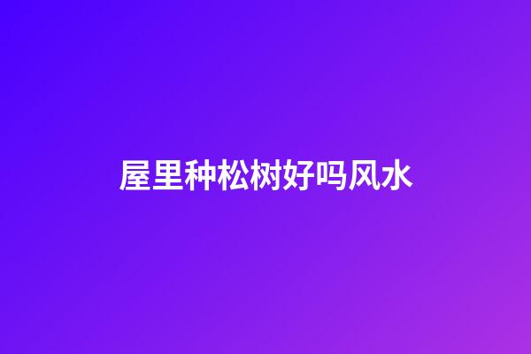 屋里种松树好吗风水
