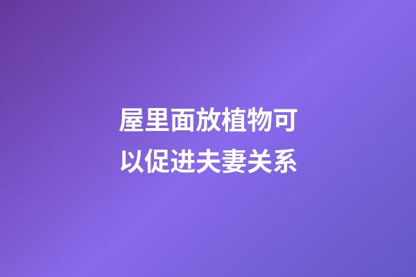 屋里面放植物可以促进夫妻关系