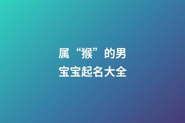 属“猴”的男宝宝起名大全