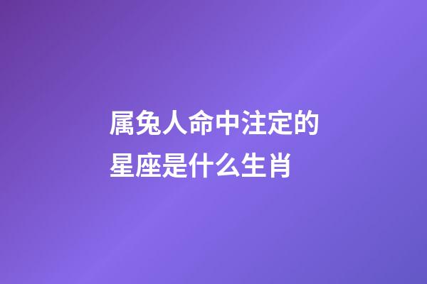 属兔人命中注定的星座是什么生肖