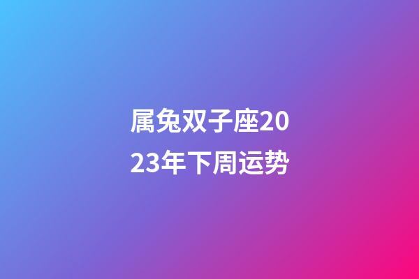 属兔双子座2023年下周运势-第1张-星座运势-玄机派
