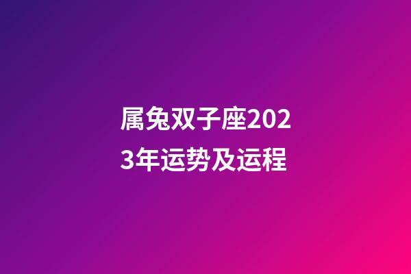 属兔双子座2023年运势及运程
