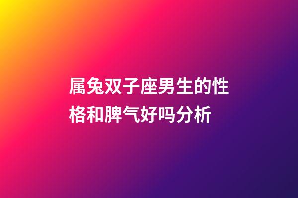 属兔双子座男生的性格和脾气好吗分析-第1张-星座运势-玄机派